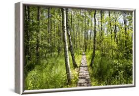 Europe, Poland, Lublin Voivodeship, Polesie National Park-Mikolaj Gospodarek-Framed Photographic Print