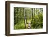 Europe, Poland, Lublin Voivodeship, Polesie National Park-Mikolaj Gospodarek-Framed Photographic Print