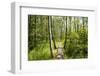 Europe, Poland, Lublin Voivodeship, Polesie National Park-Mikolaj Gospodarek-Framed Photographic Print