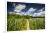 Europe, Poland, Lublin Voivodeship, Polesie National Park-Mikolaj Gospodarek-Framed Photographic Print