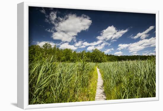 Europe, Poland, Lublin Voivodeship, Polesie National Park-Mikolaj Gospodarek-Framed Photographic Print