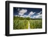 Europe, Poland, Lublin Voivodeship, Polesie National Park-Mikolaj Gospodarek-Framed Photographic Print