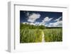 Europe, Poland, Lublin Voivodeship, Polesie National Park-Mikolaj Gospodarek-Framed Photographic Print