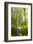 Europe, Poland, Lublin Voivodeship, Polesie National Park-Mikolaj Gospodarek-Framed Photographic Print