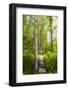 Europe, Poland, Lublin Voivodeship, Polesie National Park-Mikolaj Gospodarek-Framed Photographic Print