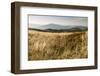 Europe, Poland, Podkarpackie Voivodeship, Bieszczady, Bukowe Berdo - Bieszczady National Park-Mikolaj Gospodarek-Framed Photographic Print