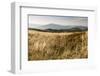 Europe, Poland, Podkarpackie Voivodeship, Bieszczady, Bukowe Berdo - Bieszczady National Park-Mikolaj Gospodarek-Framed Photographic Print