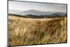 Europe, Poland, Podkarpackie Voivodeship, Bieszczady, Bukowe Berdo - Bieszczady National Park-Mikolaj Gospodarek-Mounted Photographic Print