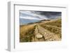 Europe, Poland, Podkarpackie Voivodeship, Bieszczady, Polonina Wetlinska - Bieszczady National Park-Mikolaj Gospodarek-Framed Photographic Print