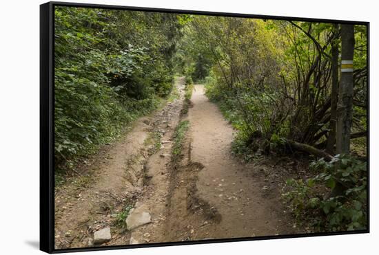 Europe, Poland, Podkarpackie Voivodeship, Bieszczady, Polonina Wetlinska - Bieszczady National Park-Mikolaj Gospodarek-Framed Stretched Canvas