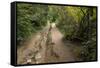 Europe, Poland, Podkarpackie Voivodeship, Bieszczady, Polonina Wetlinska - Bieszczady National Park-Mikolaj Gospodarek-Framed Stretched Canvas