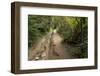 Europe, Poland, Podkarpackie Voivodeship, Bieszczady, Polonina Wetlinska - Bieszczady National Park-Mikolaj Gospodarek-Framed Photographic Print