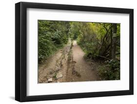 Europe, Poland, Podkarpackie Voivodeship, Bieszczady, Polonina Wetlinska - Bieszczady National Park-Mikolaj Gospodarek-Framed Photographic Print