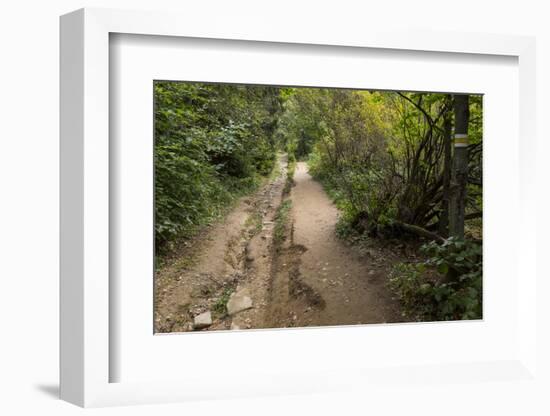 Europe, Poland, Podkarpackie Voivodeship, Bieszczady, Polonina Wetlinska - Bieszczady National Park-Mikolaj Gospodarek-Framed Photographic Print