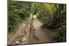 Europe, Poland, Podkarpackie Voivodeship, Bieszczady, Polonina Wetlinska - Bieszczady National Park-Mikolaj Gospodarek-Mounted Photographic Print