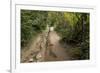 Europe, Poland, Podkarpackie Voivodeship, Bieszczady, Polonina Wetlinska - Bieszczady National Park-Mikolaj Gospodarek-Framed Photographic Print