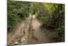 Europe, Poland, Podkarpackie Voivodeship, Bieszczady, Polonina Wetlinska - Bieszczady National Park-Mikolaj Gospodarek-Mounted Photographic Print