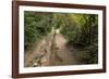 Europe, Poland, Podkarpackie Voivodeship, Bieszczady, Polonina Wetlinska - Bieszczady National Park-Mikolaj Gospodarek-Framed Photographic Print