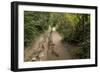 Europe, Poland, Podkarpackie Voivodeship, Bieszczady, Polonina Wetlinska - Bieszczady National Park-Mikolaj Gospodarek-Framed Photographic Print