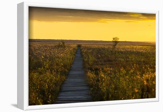 Europe, Poland, Podlaskie Voivodeship, Carska Road-Mikolaj Gospodarek-Framed Photographic Print