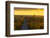 Europe, Poland, Podlaskie Voivodeship, Carska Road-Mikolaj Gospodarek-Framed Photographic Print