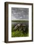 Europe, Poland, Podlaskie Voivodeship, Narew National Park, Waniewo-Mikolaj Gospodarek-Framed Photographic Print