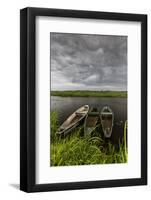 Europe, Poland, Podlaskie Voivodeship, Narew National Park, Waniewo-Mikolaj Gospodarek-Framed Photographic Print