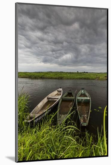 Europe, Poland, Podlaskie Voivodeship, Narew National Park, Waniewo-Mikolaj Gospodarek-Mounted Photographic Print