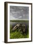 Europe, Poland, Podlaskie Voivodeship, Narew National Park, Waniewo-Mikolaj Gospodarek-Framed Photographic Print