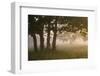 Europe, Poland, Podlaskie Voivodeship, Narew river - Gielczyn-Mikolaj Gospodarek-Framed Photographic Print