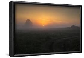 Europe, Poland, Podlaskie Voivodeship, Narew river - Gielczyn-Mikolaj Gospodarek-Framed Photographic Print