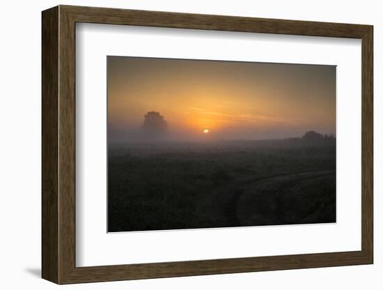 Europe, Poland, Podlaskie Voivodeship, Narew river - Gielczyn-Mikolaj Gospodarek-Framed Photographic Print