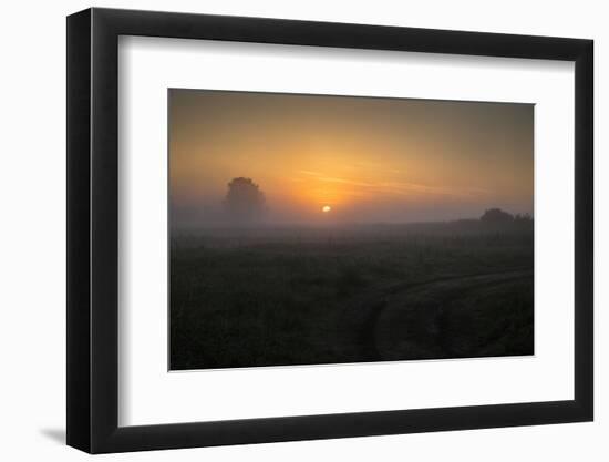 Europe, Poland, Podlaskie Voivodeship, Narew river - Gielczyn-Mikolaj Gospodarek-Framed Photographic Print