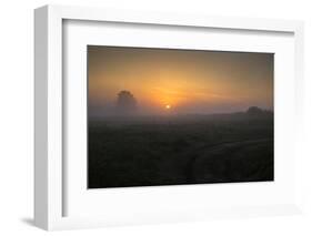 Europe, Poland, Podlaskie Voivodeship, Narew river - Gielczyn-Mikolaj Gospodarek-Framed Photographic Print