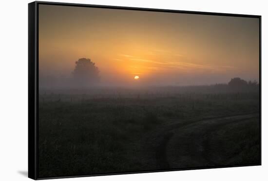 Europe, Poland, Podlaskie Voivodeship, Narew river - Gielczyn-Mikolaj Gospodarek-Framed Stretched Canvas