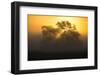 Europe, Poland, Podlaskie Voivodeship, Narew river - Gielczyn-Mikolaj Gospodarek-Framed Photographic Print