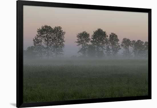 Europe, Poland, Podlaskie Voivodeship, Narew river - Gielczyn-Mikolaj Gospodarek-Framed Photographic Print