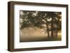 Europe, Poland, Podlaskie Voivodeship, Narew river - Gielczyn-Mikolaj Gospodarek-Framed Photographic Print