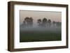 Europe, Poland, Podlaskie Voivodeship, Narew river - Gielczyn-Mikolaj Gospodarek-Framed Photographic Print