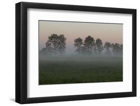 Europe, Poland, Podlaskie Voivodeship, Narew river - Gielczyn-Mikolaj Gospodarek-Framed Photographic Print