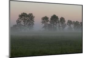 Europe, Poland, Podlaskie Voivodeship, Narew river - Gielczyn-Mikolaj Gospodarek-Mounted Photographic Print