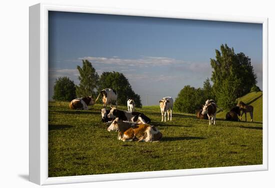 Europe, Poland, Podlaskie Voivodeship, Suwalskie / Suwalszczyzna-Mikolaj Gospodarek-Framed Photographic Print