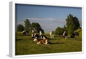 Europe, Poland, Podlaskie Voivodeship, Suwalskie / Suwalszczyzna-Mikolaj Gospodarek-Framed Photographic Print