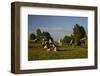 Europe, Poland, Podlaskie Voivodeship, Suwalskie / Suwalszczyzna-Mikolaj Gospodarek-Framed Photographic Print