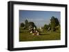 Europe, Poland, Podlaskie Voivodeship, Suwalskie / Suwalszczyzna-Mikolaj Gospodarek-Framed Photographic Print