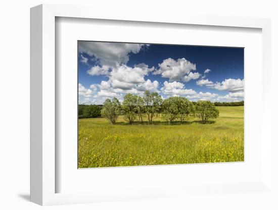 Europe, Poland, Podlaskie Voivodeship, Suwalskie / Suwalszczyzna-Mikolaj Gospodarek-Framed Photographic Print