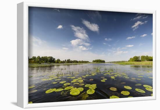 Europe, Poland, Voivodeship Masovian, Dzierzenin - Narew river-Mikolaj Gospodarek-Framed Photographic Print