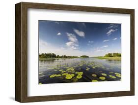 Europe, Poland, Voivodeship Masovian, Dzierzenin - Narew river-Mikolaj Gospodarek-Framed Photographic Print