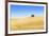 Europe, Portugal, Alentejo, a Solitary Cork Oak Tree in a Wheat Field in the Central Alentejo-Alex Robinson-Framed Photographic Print