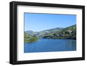 Europe, Portugal, Douro River, Douro River Valley Vineyards-Lisa S. Engelbrecht-Framed Photographic Print